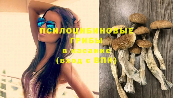 круглые Алзамай